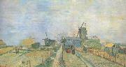 Vincent Van Gogh Vegetable Garden in Montmartre (nn04) oil painting on canvas
